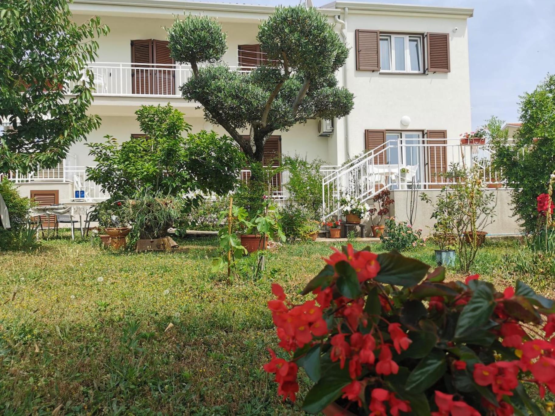 Pical Apartment